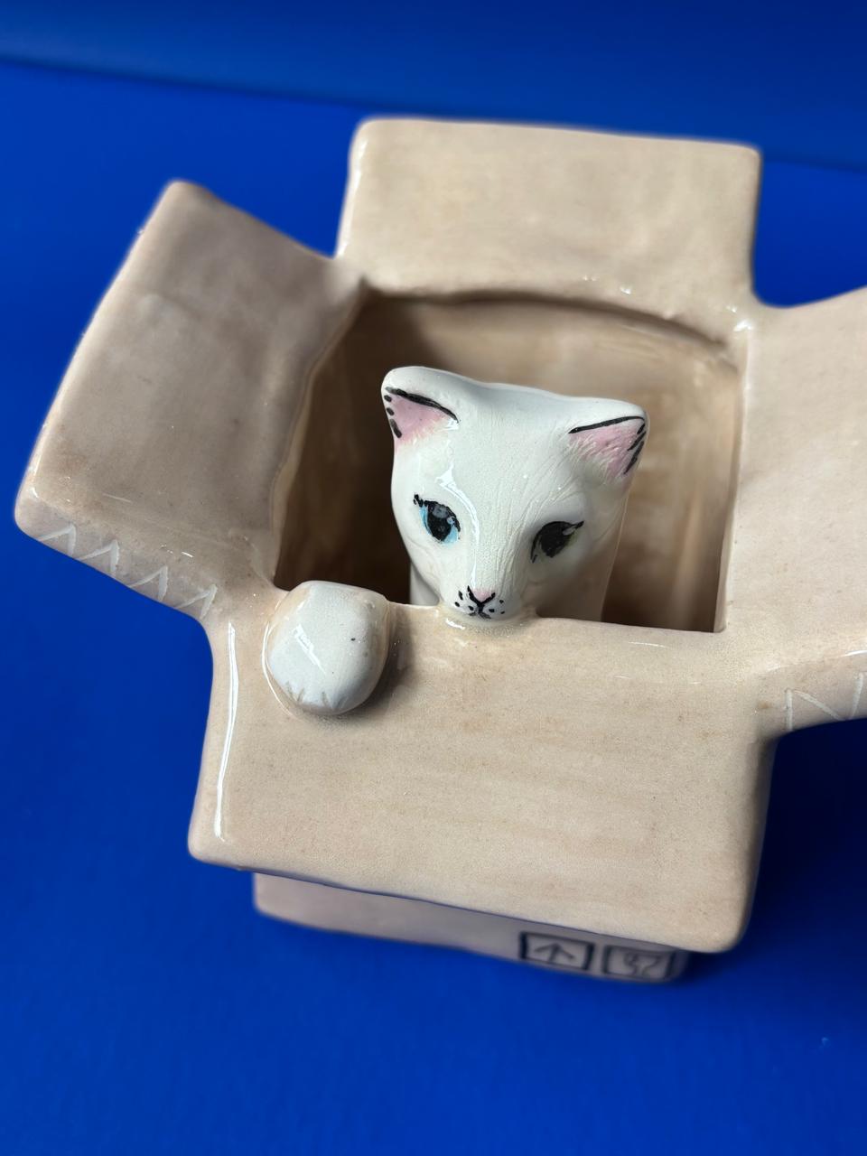 Maceta Caja con gatito X Maceteo