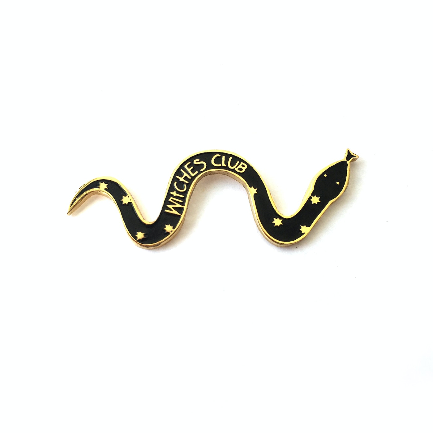 Pin serpiente