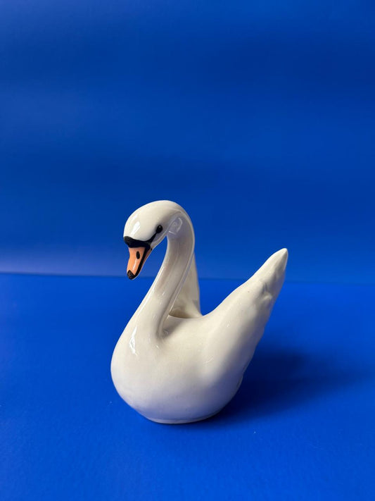 Maceta Cisne X Maceteo