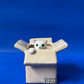 Maceta Caja con gatito X Maceteo