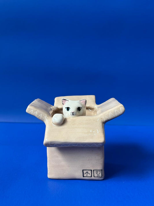 Maceta Caja con gatito X Maceteo