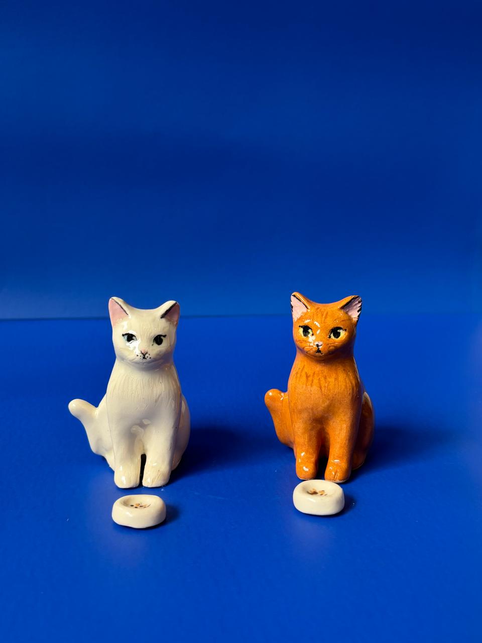 Maceta gatito X Maceteo