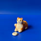 Maceta gatito X Maceteo
